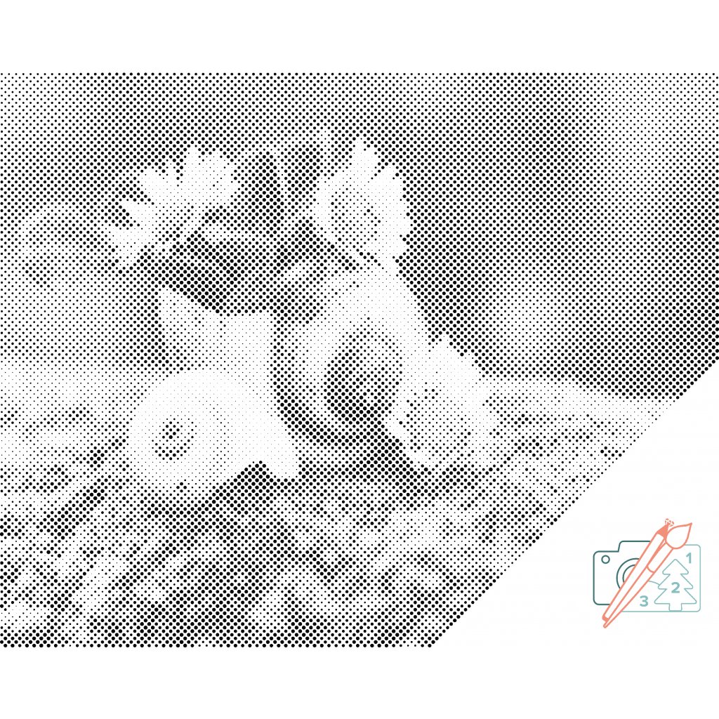Dotting points - Daisies in the Conch