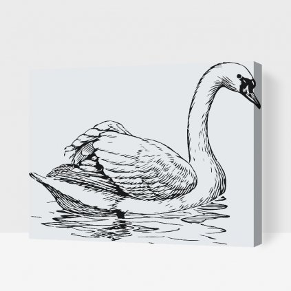 Paint by Number - Swan in Lake