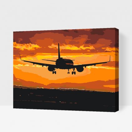 Paint by Number - Flight at Sunset