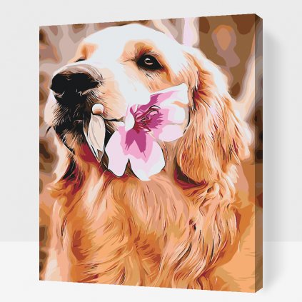 Paint by Number - Labrador with Flower