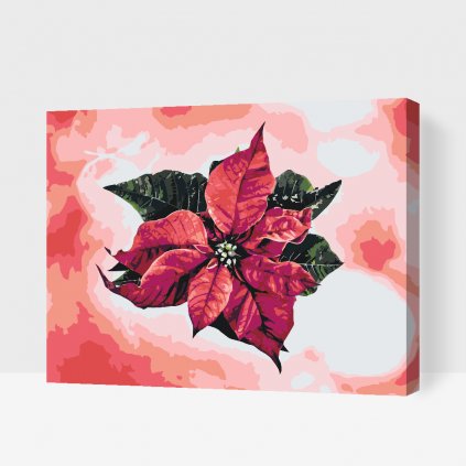 Paint by Number - Poinsettia