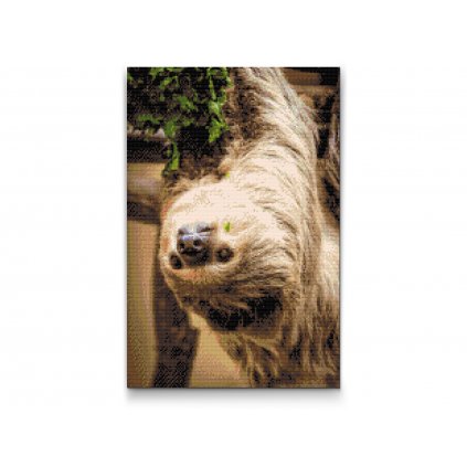 Diamond Painting - Sloth 2