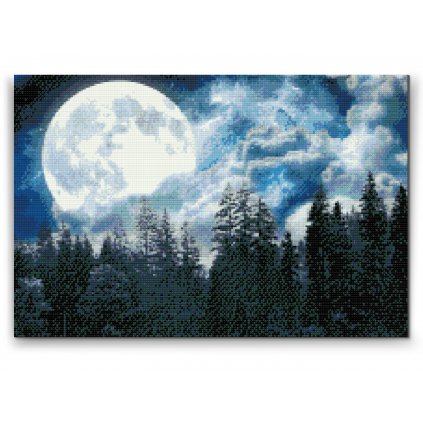 Diamond Painting - Full Moon over the Forest