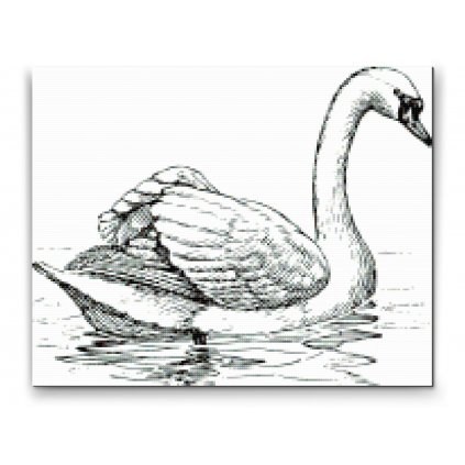 Diamond Painting - Swan in Lake
