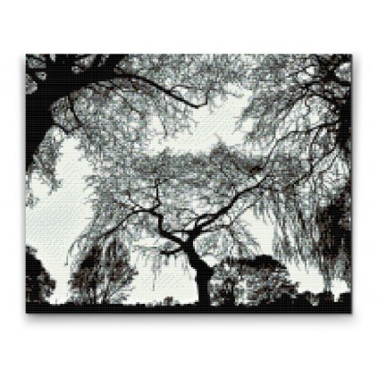 Diamond Painting - Silhouette of Trees
