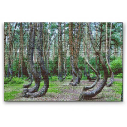 Diamond Painting - Crooked Forest in Poland