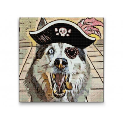 Diamond Painting - Wolf Pirate