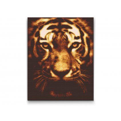 Diamond Painting - Tiger in Lights