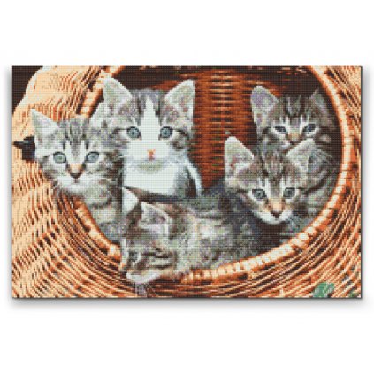 Diamond Painting - Cats in Basket
