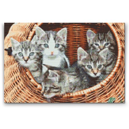 Diamond Painting - Cats in Basket