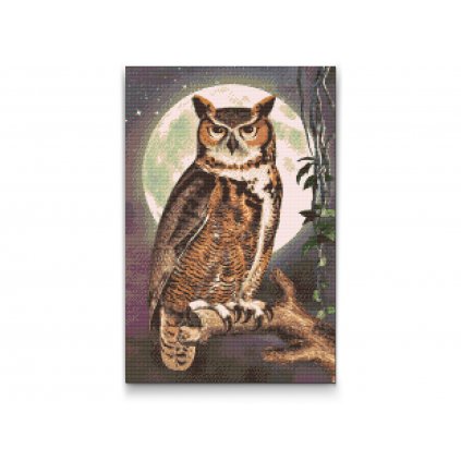 Diamond Painting - Wise Owl
