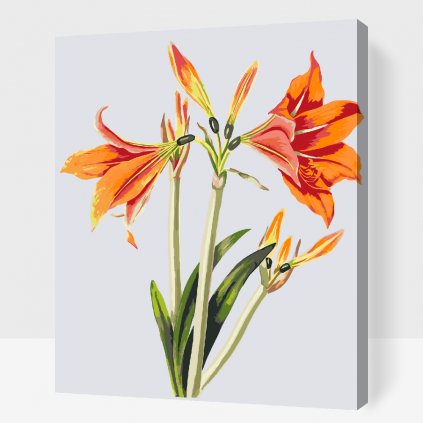 Paint by Number - Vintage Lilies