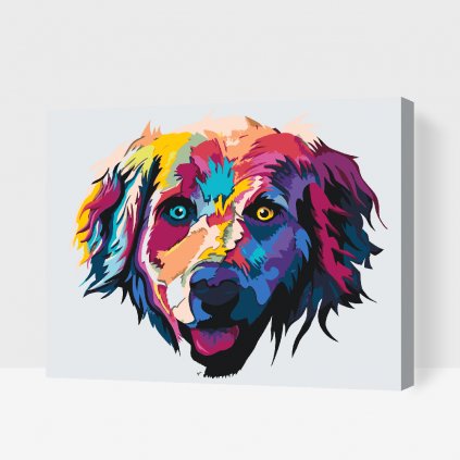 Paint by Number - Colorful Retriever