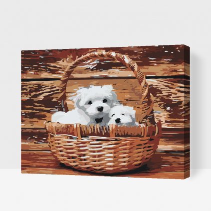 Paint by Number - Dogs in Basket