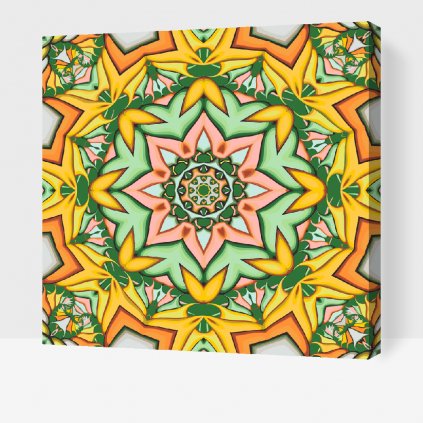 Paint by Number - Mandala2