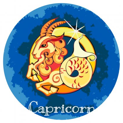 Paint by Number - Capricorn