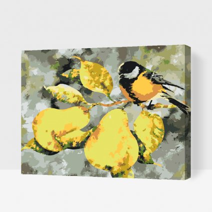 Paint by Number - Great Tit and Pears