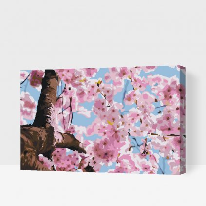 Paint by Number - Blooming Tree