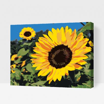 Paint by Number - Sunflowers