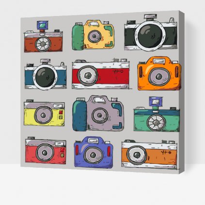 Paint by Number - Colorful Cameras