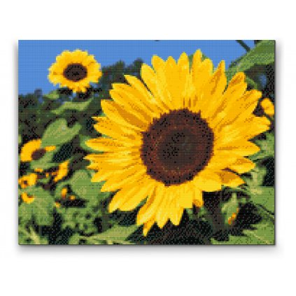 Diamond Painting - Sunflowers