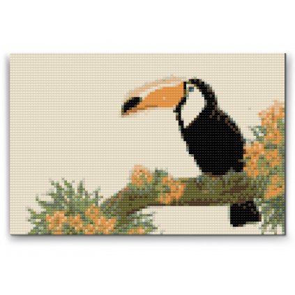 Diamond Painting - Tucan on a Tree Branch 