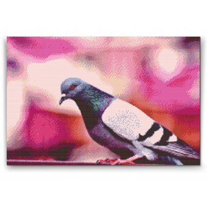 Diamond Painting - A Pigeon