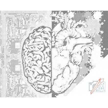 Dotting points - Brain or Heart?