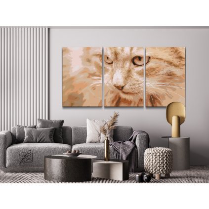 Paint by Number - Hunting cat (set of 3)
