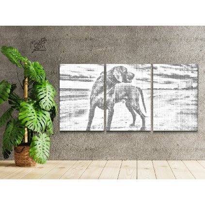 Dotting points - A Dog on the Beach (set of 3)