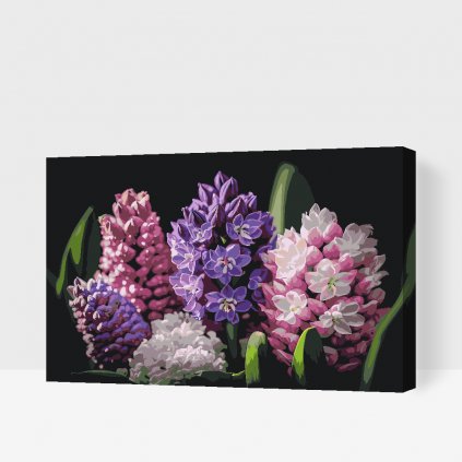 Paint by Number - Hyacinths