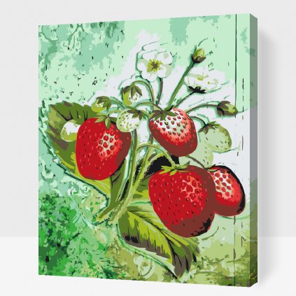 Paint by Number - Strawberry Season
