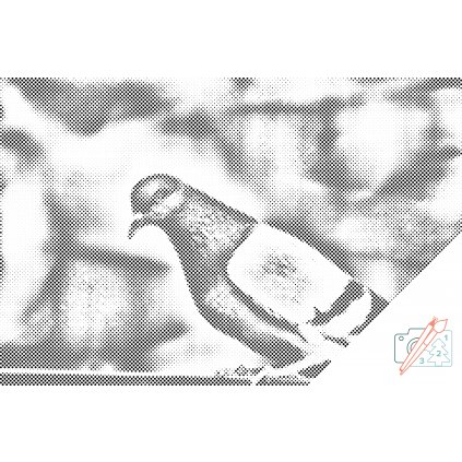 Dotting points - A Pigeon