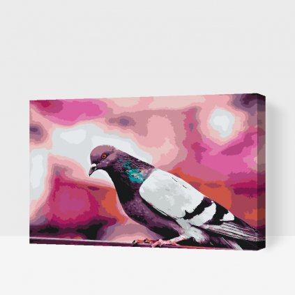 Paint by Number - A Pigeon