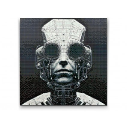 Diamantové malování - Muž z budoucnosti
