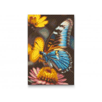 Diamantové malování - Motýl na květin