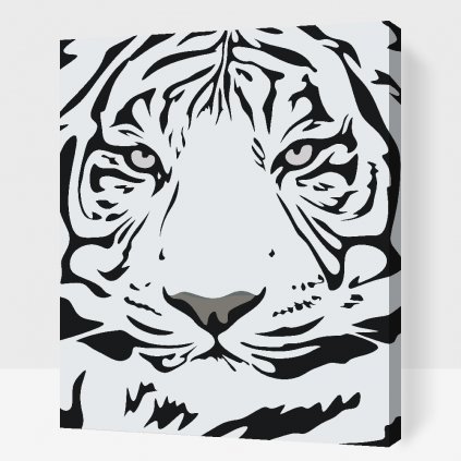 Paint by Number - Black-White Tiger Head