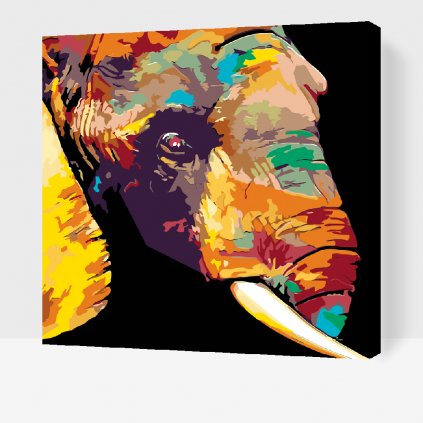Paint by Number - Colored Elephant