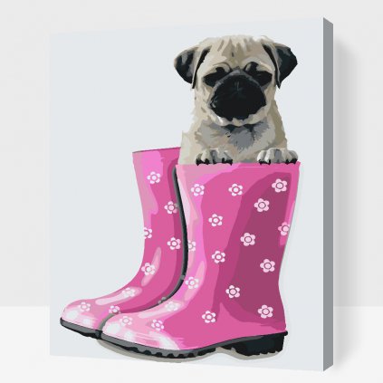 Paint by Number - Pug in Boots