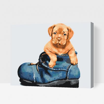 Paint by Number - Puppy in a Shoe