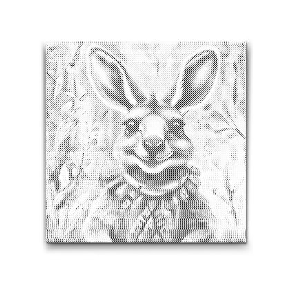 M2_Dotting_Points_-_Cheerful_kangaroo