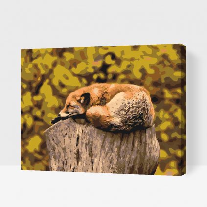 Paint by Number - Fox Resting on a Tree Trunk