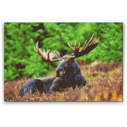 Diamond Painting - Moose
