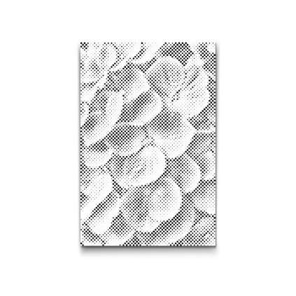 M2_Dotting_Points_-_Hydrangea_flower