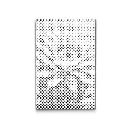 M2_Dotting_Points_-_Cactus_flower