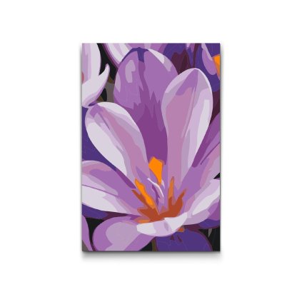 M2_Painting_by_Numbers_-_Crocus_flower