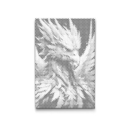 M2_Dotting_Points_-_Colourful_phoenix