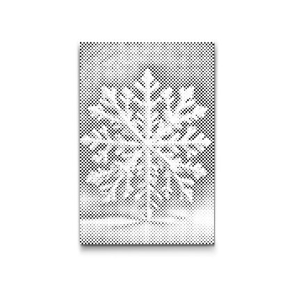M2_Dotting_Points_-_Snowflake