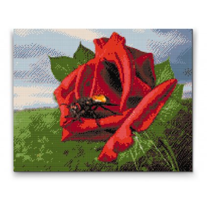 Diamond Painting - Bee on the Rose