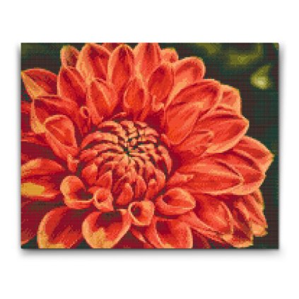 Diamond_Paintings_Red_Dahlia_M2